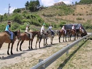 potes caballos