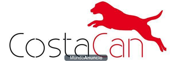 COSTACAN - Adiestramiento canino y Corrección de conductas