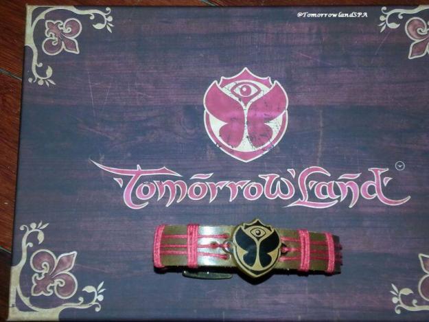 Vendo entradas viernes tomorrowland 2013