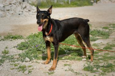 Candela abandonada en la puerta de una casa