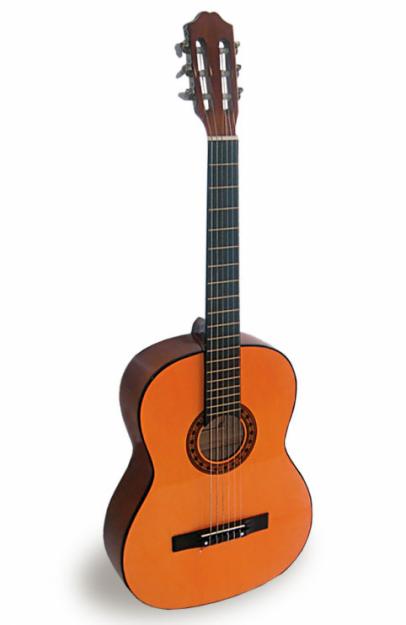 Guitarra rocio 10 + funda