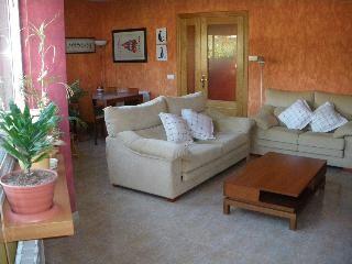 Apartamento en venta en Olesa de Montserrat, Barcelona (Costa Maresme)