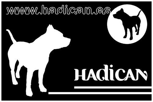 www.hadican.es // ** HADICAN ** // Calidad, Seriedad, Garantisas y lo Mejores Cachorritos de Todo el Mercado // www.hadi