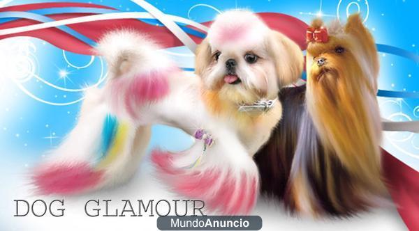 Tratamientos navideños DOG GLAMOUR para su mascota.