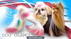 Tratamientos navideños DOG GLAMOUR para su mascota. - mejor precio | unprecio.es