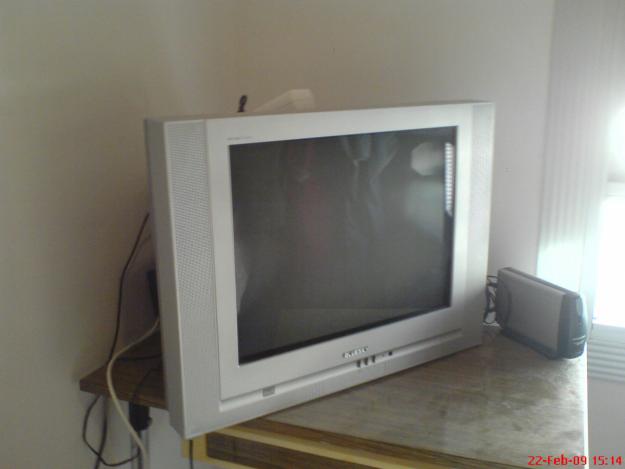 Vendo televisor de 21