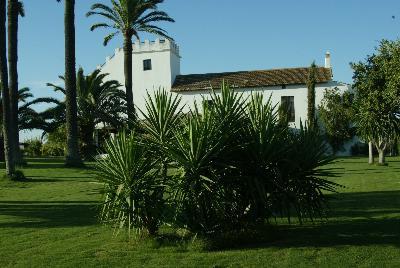 Hacienda La Indiana near Seville