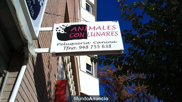 Animales con lunares