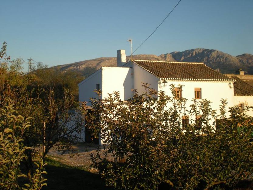 Casa rural antequera, 20 personas