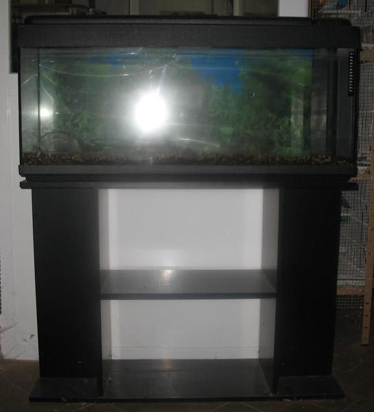 Vendo acuario 150 litros con mesa