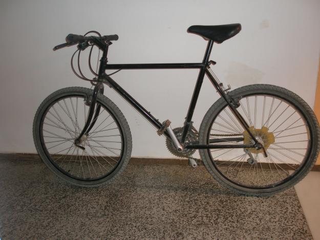 vendo bicicleta de chico y chica