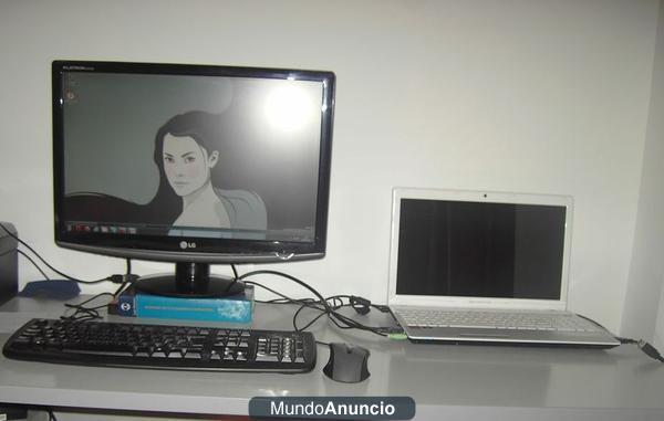 Portatil gama alta y monitor TFT 22\