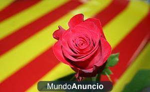 Rosas de Sant Jordi