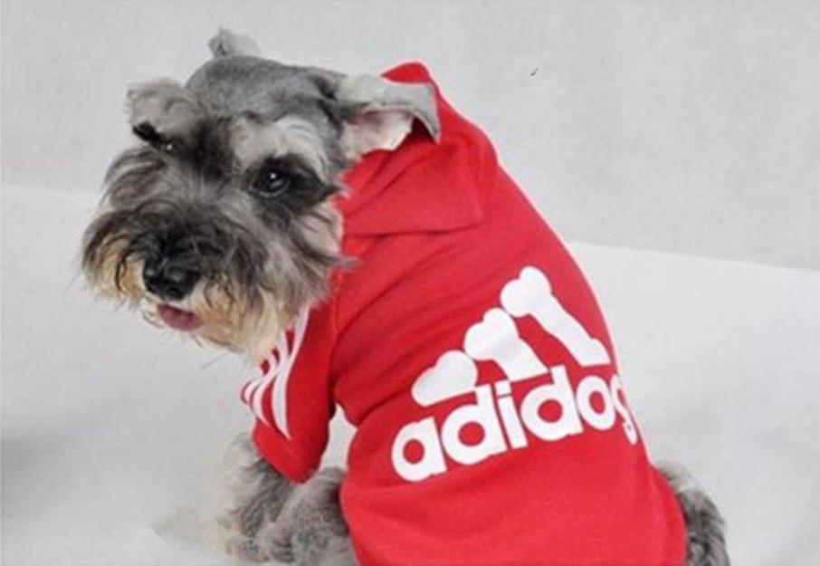 Ropa perros sudadera adidog L