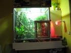 vendo terrario 2ºmano - mejor precio | unprecio.es