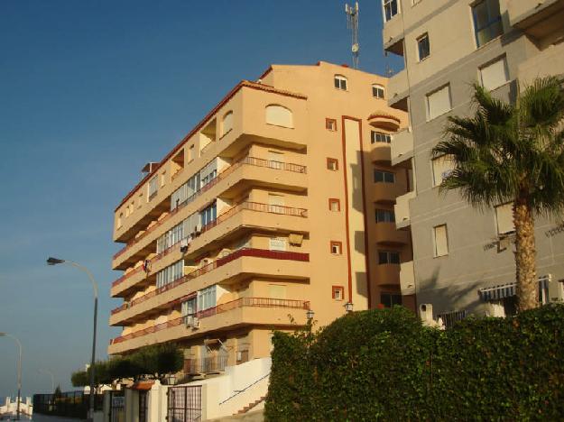 Estudio en Torrevieja