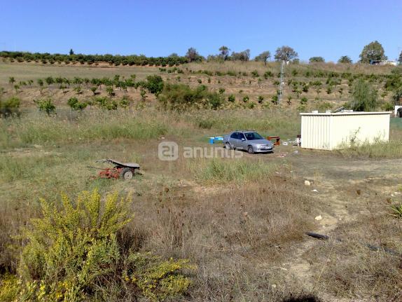 Vendo estupenda parcela toda llana de 2500m2  con agua y luz instaladas