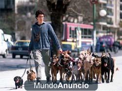 TE CUIDO TUS ANIMALITOS (GATOS Y PERROS)