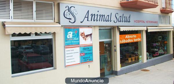 Hospital veterinario