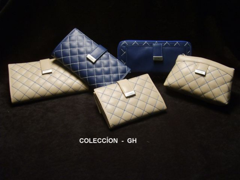 Carteras y bolsos de piel