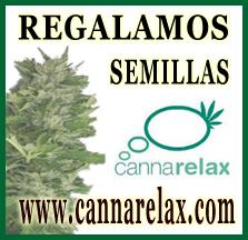 Cannarelax: Almohadas y Colchones con cáñamo industrial.