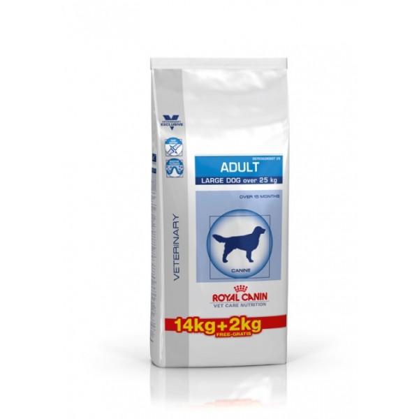 Pienso royal canin adult a 23, 26€