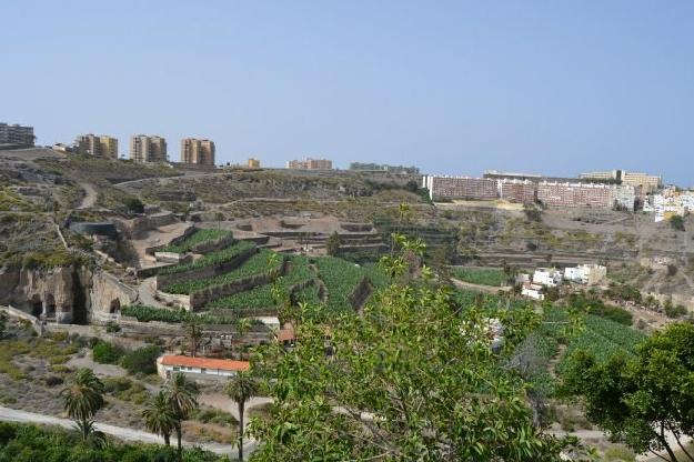 ático en Palmas de Gran Canaria(Las)