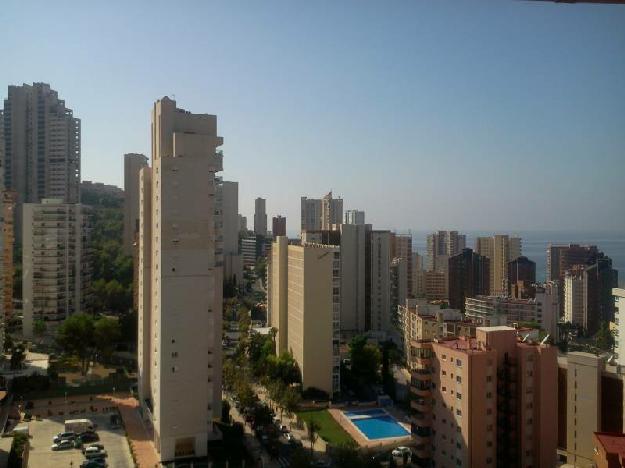 Estudio en Benidorm