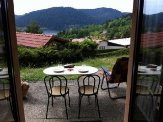 Apartamento en chalet : 4/4 personas - gerardmer  vosgos  lorena  francia