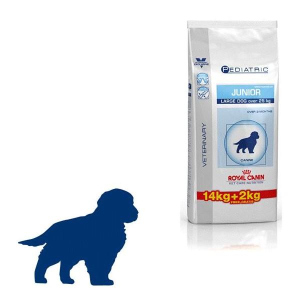 Pienso royal canin junior large dog a 27, 59€