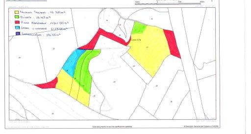 VENDO TERRENO  DE 78496m2 EN MOGENTE 150.000€