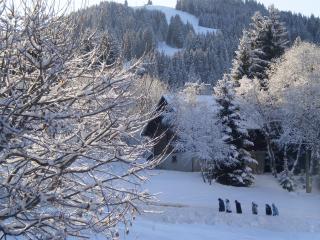 Apartamento en residencia : 2/7 personas - les gets  alta saboya  rodano alpes  francia