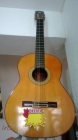 Vendo guitarra clasica - mejor precio | unprecio.es