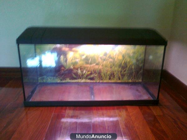 Acuario de 100L.