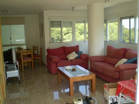 Apartamento en Saler, El