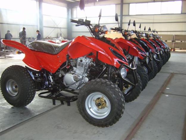 LIQUIDACIÓN  QUADS 300CC