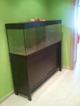 acuario 350l con mesa, equipo CO2 y complementeos