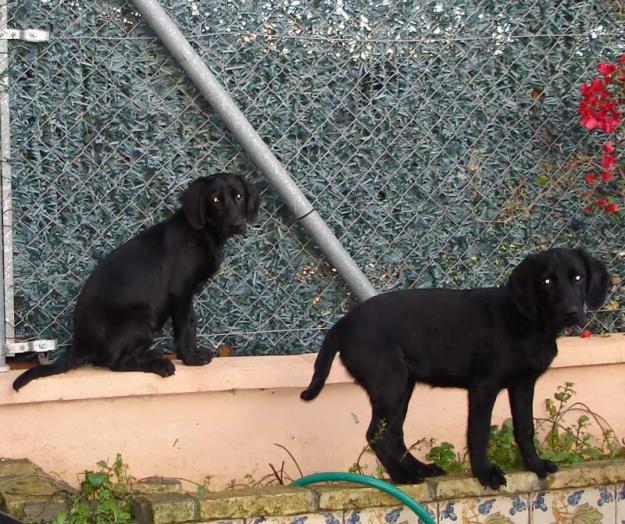 Cadiz 2 hermanitas bajo la lluvia‏