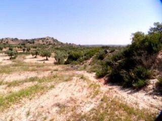 Finca/Casa Rural en venta en Fabara, Zaragoza