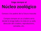 Labrador Retriever - Nucleo zoologico Obligatorio - mejor precio | unprecio.es