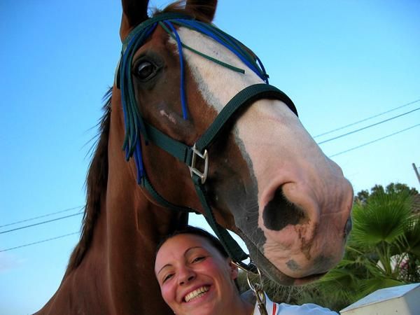 fisioterapeuta de caballos