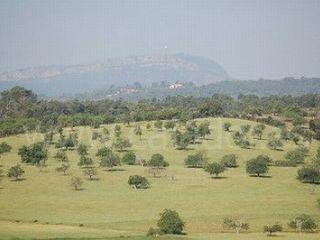 Finca/Casa Rural en venta en Vilafranca de Bonany, Mallorca (Balearic Islands)