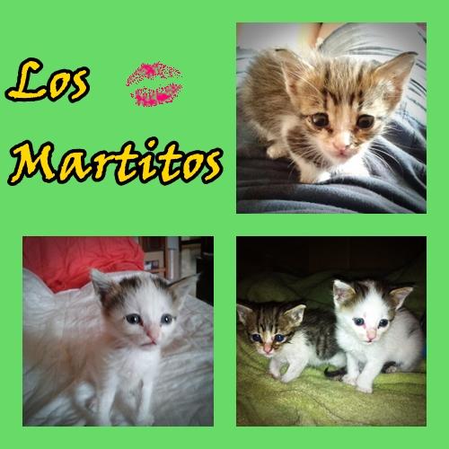 LOS MARTITOS. Dos pequeños hermanitos rescatados a tiempo