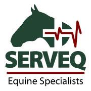 Veterinario caballos