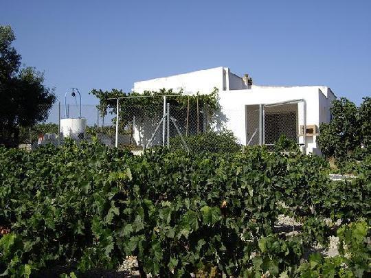 Cortijo en Jara, La