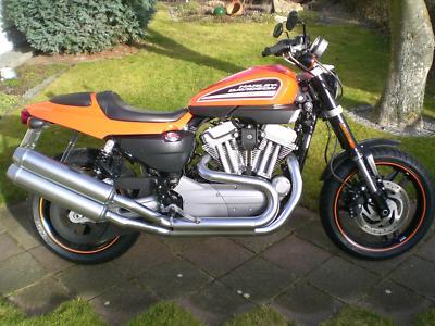 2008   Harley Davidson XR 1200