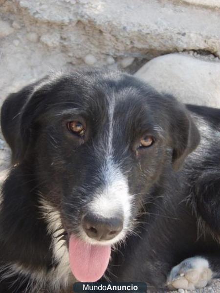 Meisy en los huesos y preñada.