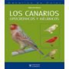 Los canarios lipocrómicos y melánicos - mejor precio | unprecio.es