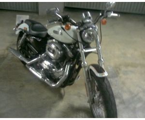 HARLEY DAVIDSON XL 1200 L SPORSTER LOW