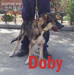 Doby, 9 meses